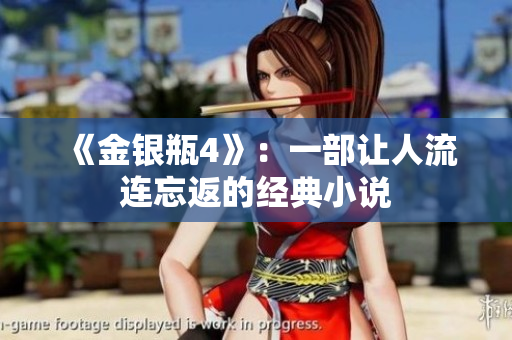 《金银瓶4》：一部让人流连忘返的经典小说