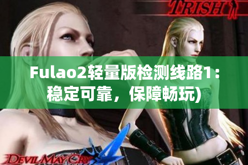 Fulao2轻量版检测线路1：稳定可靠，保障畅玩)