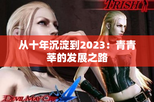 从十年沉淀到2023：青青莘的发展之路