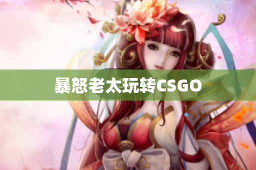 暴怒老太玩转CSGO