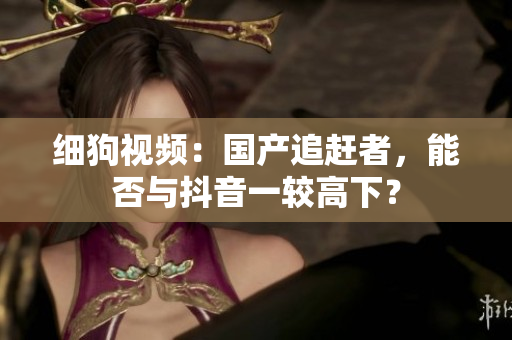 细狗视频：国产追赶者，能否与抖音一较高下？