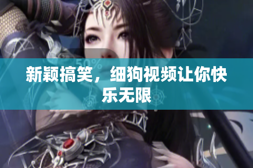 新颖搞笑，细狗视频让你快乐无限