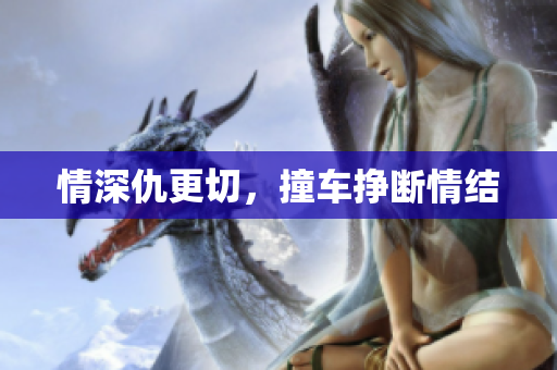 情深仇更切，撞车挣断情结