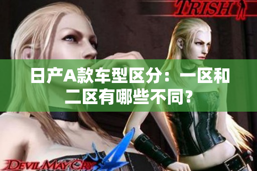 日产A款车型区分：一区和二区有哪些不同？