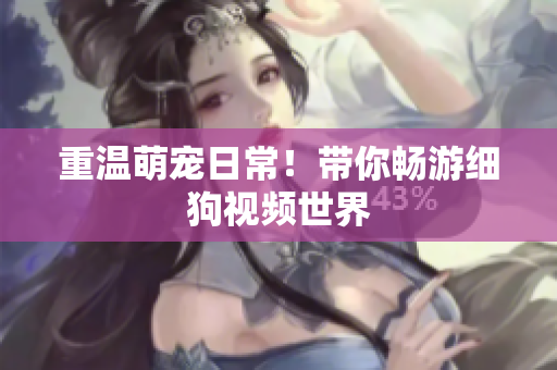 重温萌宠日常！带你畅游细狗视频世界