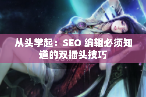 从头学起：SEO 编辑必须知道的双插头技巧