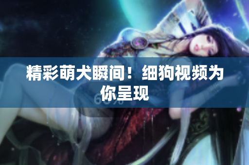 精彩萌犬瞬间！细狗视频为你呈现
