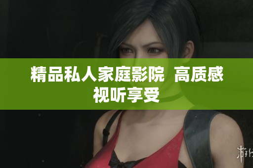 精品私人家庭影院  高质感视听享受