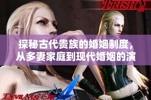 探秘古代贵族的婚姻制度，从多妻家庭到现代婚姻的演变