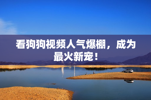 看狗狗视频人气爆棚，成为最火新宠！
