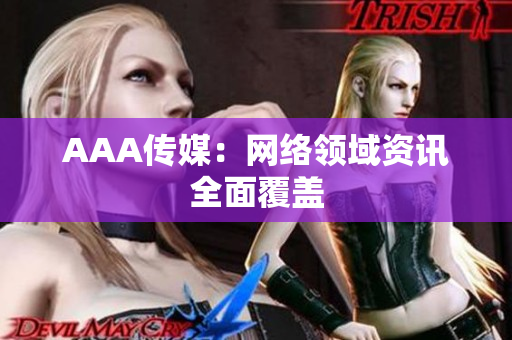 AAA传媒：网络领域资讯全面覆盖