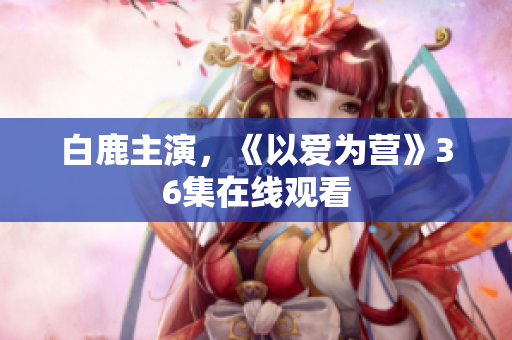白鹿主演，《以爱为营》36集在线观看