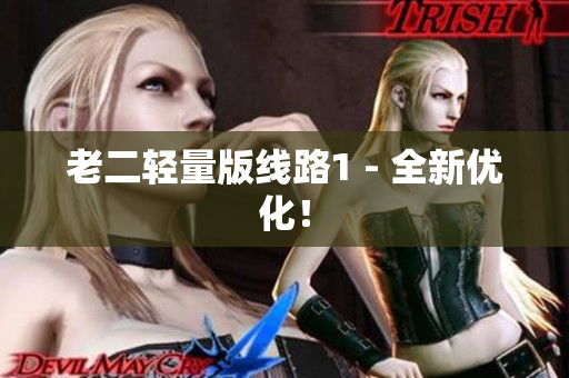 老二轻量版线路1 - 全新优化！