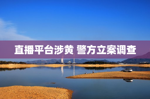 直播平台涉黄 警方立案调查