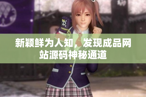 新颖鲜为人知，发现成品网站源码神秘通道