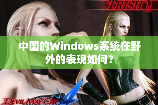 中国的Windows系统在野外的表现如何？