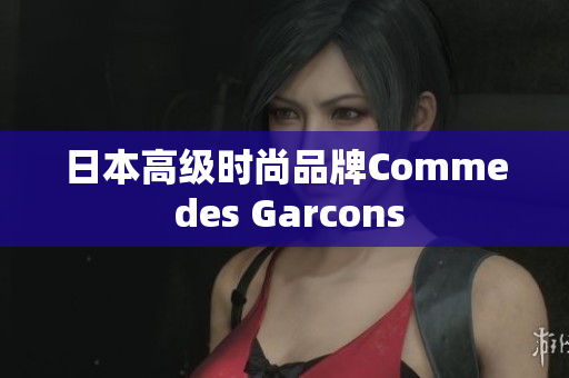 日本高级时尚品牌Comme des Garcons