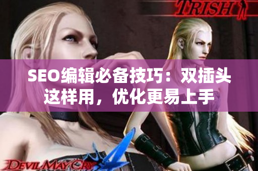 SEO编辑必备技巧：双插头这样用，优化更易上手
