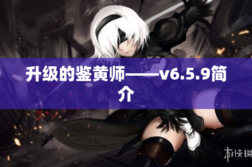 升级的鉴黄师——v6.5.9简介