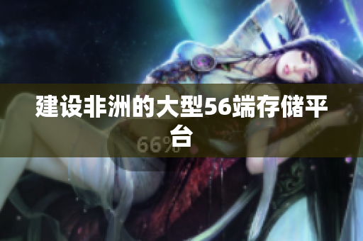 建设非洲的大型56端存储平台