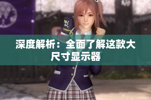 深度解析：全面了解这款大尺寸显示器