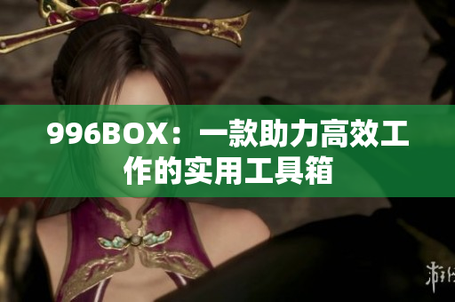 996BOX：一款助力高效工作的实用工具箱