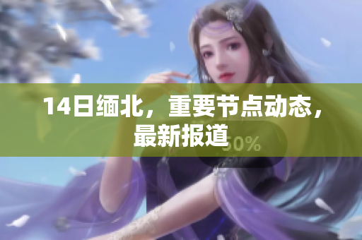 14日缅北，重要节点动态，最新报道