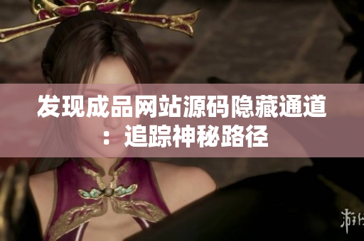 发现成品网站源码隐藏通道：追踪神秘路径