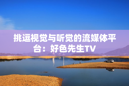 挑逗视觉与听觉的流媒体平台：好色先生TV