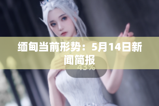 缅甸当前形势：5月14日新闻简报