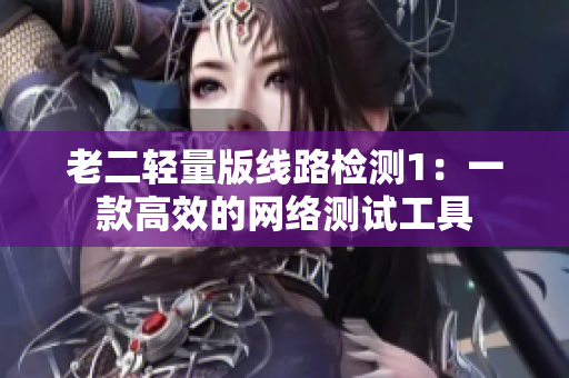 老二轻量版线路检测1：一款高效的网络测试工具