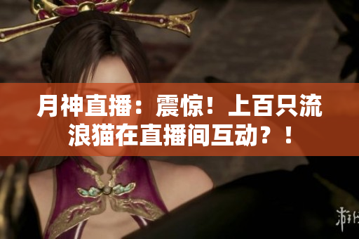 月神直播：震惊！上百只流浪猫在直播间互动？！