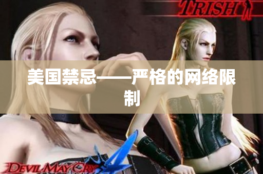 美国禁忌——严格的网络限制
