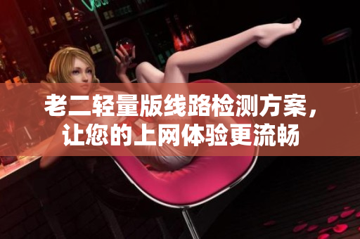 老二轻量版线路检测方案，让您的上网体验更流畅