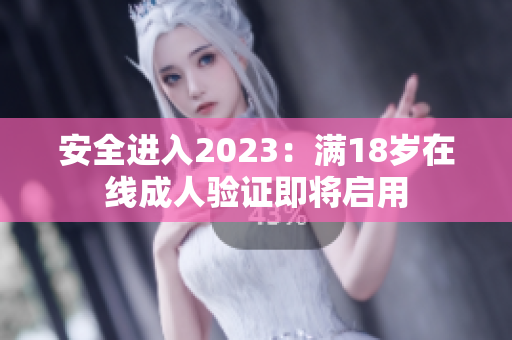 安全进入2023：满18岁在线成人验证即将启用