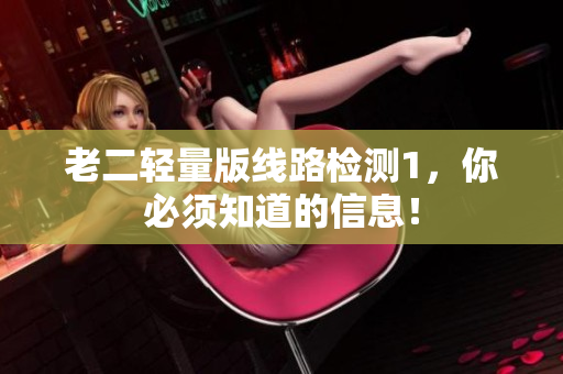 老二轻量版线路检测1，你必须知道的信息！