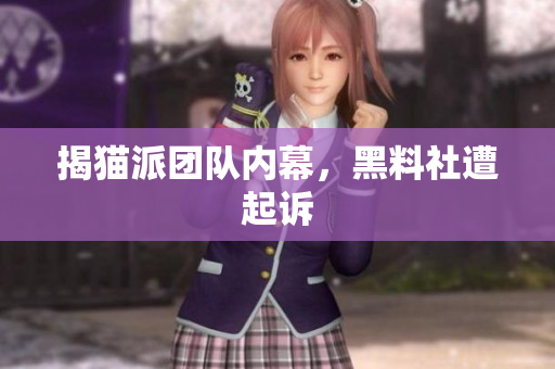 揭猫派团队内幕，黑料社遭起诉