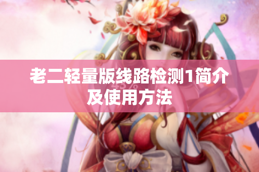 老二轻量版线路检测1简介及使用方法