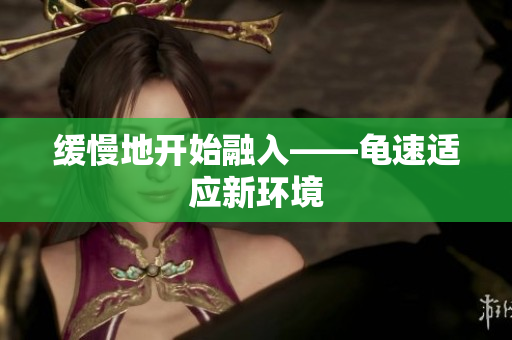缓慢地开始融入——龟速适应新环境