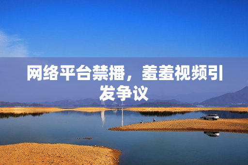 网络平台禁播，羞羞视频引发争议