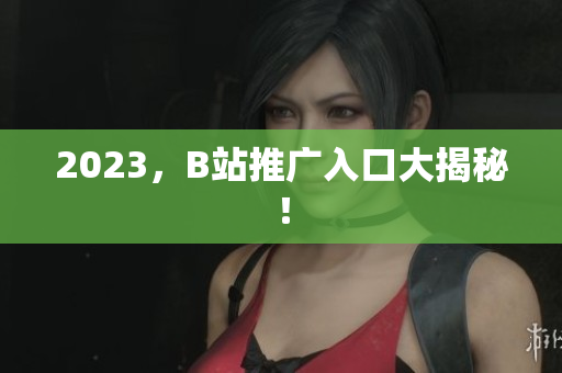 2023，B站推广入口大揭秘！