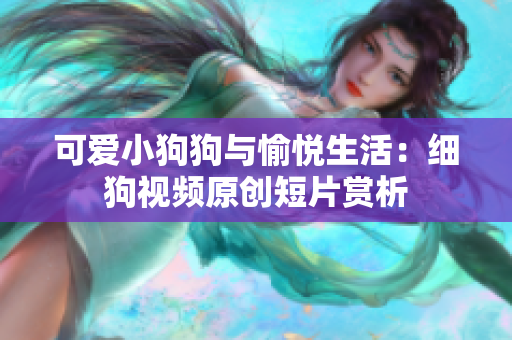 可爱小狗狗与愉悦生活：细狗视频原创短片赏析