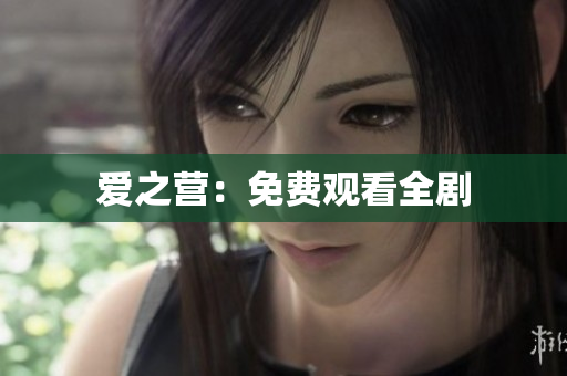 爱之营：免费观看全剧
