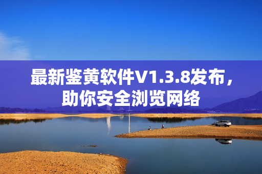 最新鉴黄软件V1.3.8发布，助你安全浏览网络