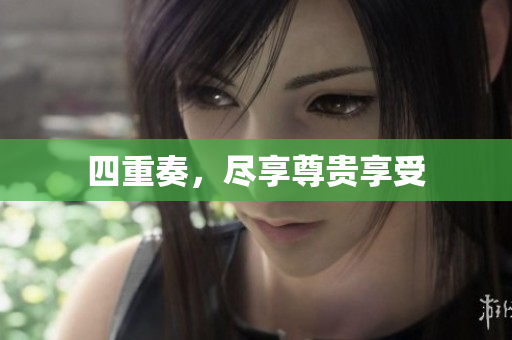 四重奏，尽享尊贵享受