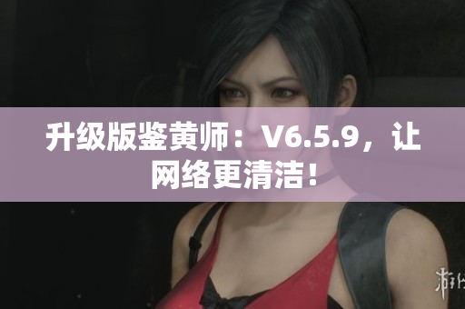 升级版鉴黄师：V6.5.9，让网络更清洁！