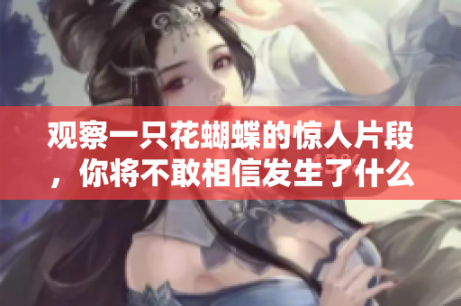 观察一只花蝴蝶的惊人片段，你将不敢相信发生了什么！
