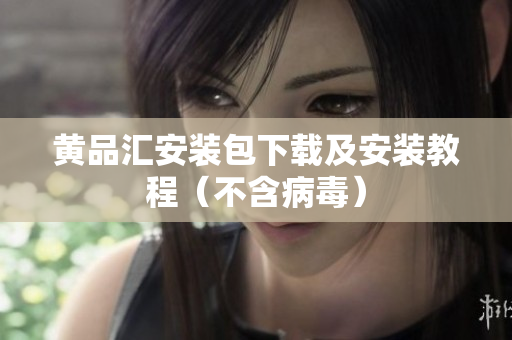 黄品汇安装包下载及安装教程（不含病毒）
