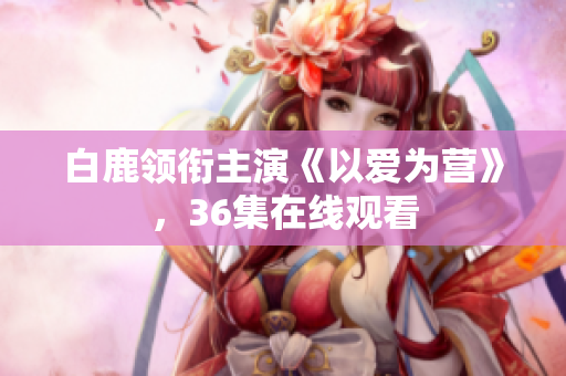 白鹿领衔主演《以爱为营》，36集在线观看