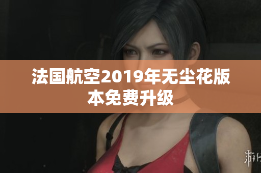 法国航空2019年无尘花版本免费升级